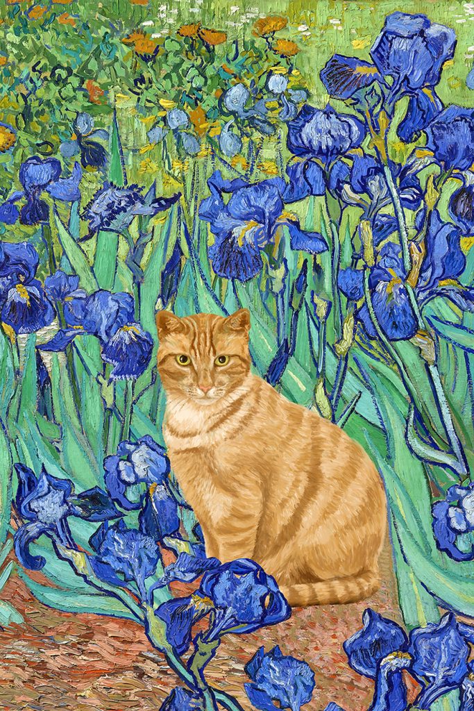 Irises with Cat Art